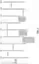 Fig. 02 - SOYBEANS HAVING LOW TRYPSIN INHIBITOR EXPRESSION OR ACTIVITY
