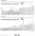 Fig. 07 - SOYBEANS HAVING LOW TRYPSIN INHIBITOR EXPRESSION OR ACTIVITY