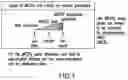 Fig. 02 - TRANSGENE EXPRESSION SYSTEM