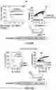 Fig. 03 - TRANSGENE EXPRESSION SYSTEM