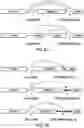 Fig. 07 - TRANSGENE EXPRESSION SYSTEM