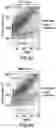 Fig. 10 - TRANSGENE EXPRESSION SYSTEM