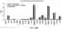 Fig. 31 - TRANSGENE EXPRESSION SYSTEM