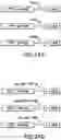 Fig. 40 - TRANSGENE EXPRESSION SYSTEM