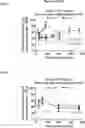 Fig. 05 - VIRAL VECTORS FOR THE TREATMENT OF RETINAL DYSTROPHY