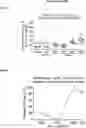 Fig. 07 - VIRAL VECTORS FOR THE TREATMENT OF RETINAL DYSTROPHY
