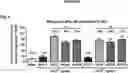 Fig. 08 - VIRAL VECTORS FOR THE TREATMENT OF RETINAL DYSTROPHY