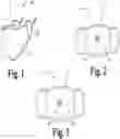 Fig. 02 - RAPID TESTING MECHANISM AND METHOD FOR RESPIRATORY VIRAL PATHOGENS