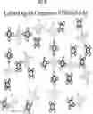 Fig. 07 - NOVEL ASSAYS FOR DETECTING ANALYTES IN SAMPLES AND KITS AND COMPOSITIONS RELATED THERETO