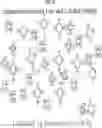 Fig. 08 - NOVEL ASSAYS FOR DETECTING ANALYTES IN SAMPLES AND KITS AND COMPOSITIONS RELATED THERETO