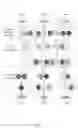 Fig. 02 - NEURAL NETWORK TRAINING UTILIZING LOSS FUNCTIONS REFLECTING NEIGHBOR TOKEN DEPENDENCIES