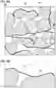 Fig. 04 - POSITIVE ELECTRODE ACTIVE MATERIAL PARTICLE AND MANUFACTURING METHOD OF POSITIVE ELECTRODE ACTIVE MATERIAL PARTICLE
