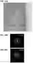 Fig. 35 - POSITIVE ELECTRODE ACTIVE MATERIAL PARTICLE AND MANUFACTURING METHOD OF POSITIVE ELECTRODE ACTIVE MATERIAL PARTICLE