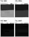 Fig. 49 - POSITIVE ELECTRODE ACTIVE MATERIAL PARTICLE AND MANUFACTURING METHOD OF POSITIVE ELECTRODE ACTIVE MATERIAL PARTICLE