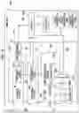Fig. 19 - Imaging apparatus, image data processing method of imaging apparatus, and program