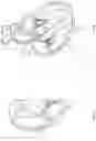 Fig. 05 - INTERVENTRICULAR SEPTUM PROTECTION