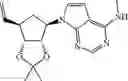 Fig. 321 - 6-6 BICYCLIC AROMATIC RING SUBSTITUTED NUCLEOSIDE ANALOGUES FOR USE AS PRMT5 INHIBITORS