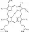 Fig. 02 - NATURAL KILLER CELLS