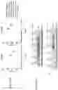 Fig. 02 - METHODS AND COMPOSITIONS FOR THE TREATMENT OF NEUROLOGIC DISEASE