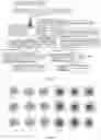 Fig. 02 - TARGETING DELIVERY SYSTEM LOADED WITH WHOLE-CELL COMPONENTS AND USE THEREOF