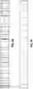 Fig. 47 - Power tool and battery support racks and methods of manufacturing