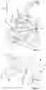 Fig. 02 - Print apparatus