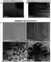 Fig. 01 - ANISOTROPIC NANOPARTICLES CONTAINING SEMICONDUCTOR COMPOUNDS OF GROUP III AND GROUP V ELEMENTS AND MANUFACTURING METHOD THEREFOR
