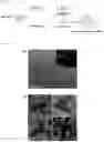 Fig. 04 - ANISOTROPIC NANOPARTICLES CONTAINING SEMICONDUCTOR COMPOUNDS OF GROUP III AND GROUP V ELEMENTS AND MANUFACTURING METHOD THEREFOR