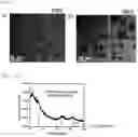 Fig. 06 - ANISOTROPIC NANOPARTICLES CONTAINING SEMICONDUCTOR COMPOUNDS OF GROUP III AND GROUP V ELEMENTS AND MANUFACTURING METHOD THEREFOR