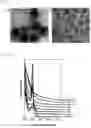 Fig. 07 - ANISOTROPIC NANOPARTICLES CONTAINING SEMICONDUCTOR COMPOUNDS OF GROUP III AND GROUP V ELEMENTS AND MANUFACTURING METHOD THEREFOR