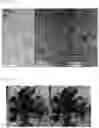 Fig. 08 - ANISOTROPIC NANOPARTICLES CONTAINING SEMICONDUCTOR COMPOUNDS OF GROUP III AND GROUP V ELEMENTS AND MANUFACTURING METHOD THEREFOR