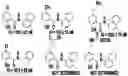 Fig. 01 - SMALL MOLECULE NICOTINAMIDE ADENINE DINUCLEOTIDE MODULATORS