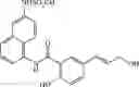 Fig. 48 - SMALL MOLECULE NICOTINAMIDE ADENINE DINUCLEOTIDE MODULATORS
