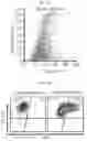 Fig. 07 - NANOPARTICLE SYSTEMS TO STIMULATE AND MAINTAIN IMMUNE SYSTEM RESPONSIVENESS AT TREATMENT SITES