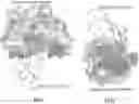 Fig. 01 - IMPROVED HIGHLY POTENT SPECIFIC HUMAN KUNITZ INHIBITOR OF FIBRINOLYTIC ENZYME PLASMIN