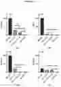 Fig. 22 - IMPROVED HIGHLY POTENT SPECIFIC HUMAN KUNITZ INHIBITOR OF FIBRINOLYTIC ENZYME PLASMIN