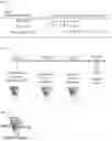 Fig. 02 - MONOCLONAL ANTIBODIES DIRECTED TO PEPTIDE IN THE CONTEXT OF MHC AND METHODS OF MAKING AND USING MONOCLONAL ANTIBODIES