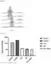 Fig. 22 - MONOCLONAL ANTIBODIES DIRECTED TO PEPTIDE IN THE CONTEXT OF MHC AND METHODS OF MAKING AND USING MONOCLONAL ANTIBODIES