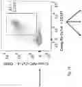 Fig. 04 - METHODS AND COMPOSITIONS FOR TREATING RESPIRATORY DISEASES OR CONDITIONS RELATED TO INNATE LYMPHOID CELLS