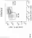 Fig. 15 - METHODS AND COMPOSITIONS FOR TREATING RESPIRATORY DISEASES OR CONDITIONS RELATED TO INNATE LYMPHOID CELLS