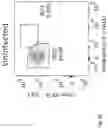 Fig. 17 - METHODS AND COMPOSITIONS FOR TREATING RESPIRATORY DISEASES OR CONDITIONS RELATED TO INNATE LYMPHOID CELLS