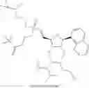 Fig. 167 - Modified Short Interfering Nucleic Acid (siNA) Molecules and Uses Thereof