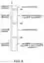 Fig. 06 - METHODS AND APPARATUSES FOR MEASUREMENT IN A WIRELESS COMMUNICATION SYSTEM