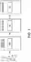 Fig. 02 - CELLULAR SYSTEM OBSERVABILITY ARCHITECTURE INCLUDING SHORT TERM AND LONG TERM STORAGE CONFIGURATION