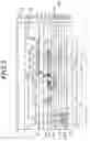 Fig. 08 - Organic Light Emitting Display Device