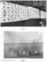 Fig. 02 - SUPER ABSORBENT POLYMERIC FOAM
