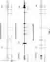 Fig. 02 - NUCLEASE-MEDIATED REPEAT EXPANSION