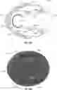 Fig. 77 - System for monitoring a physiological parameter of a person wearing protective sports equipment while engaged in physical activity