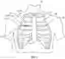 Fig. 02 - FIXATION DEVICES AND SURGICAL TECHNIQUES SUCH AS FOR RIB STABILIZATION