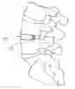 Fig. 01 - SPINE SURGERY DEVICE